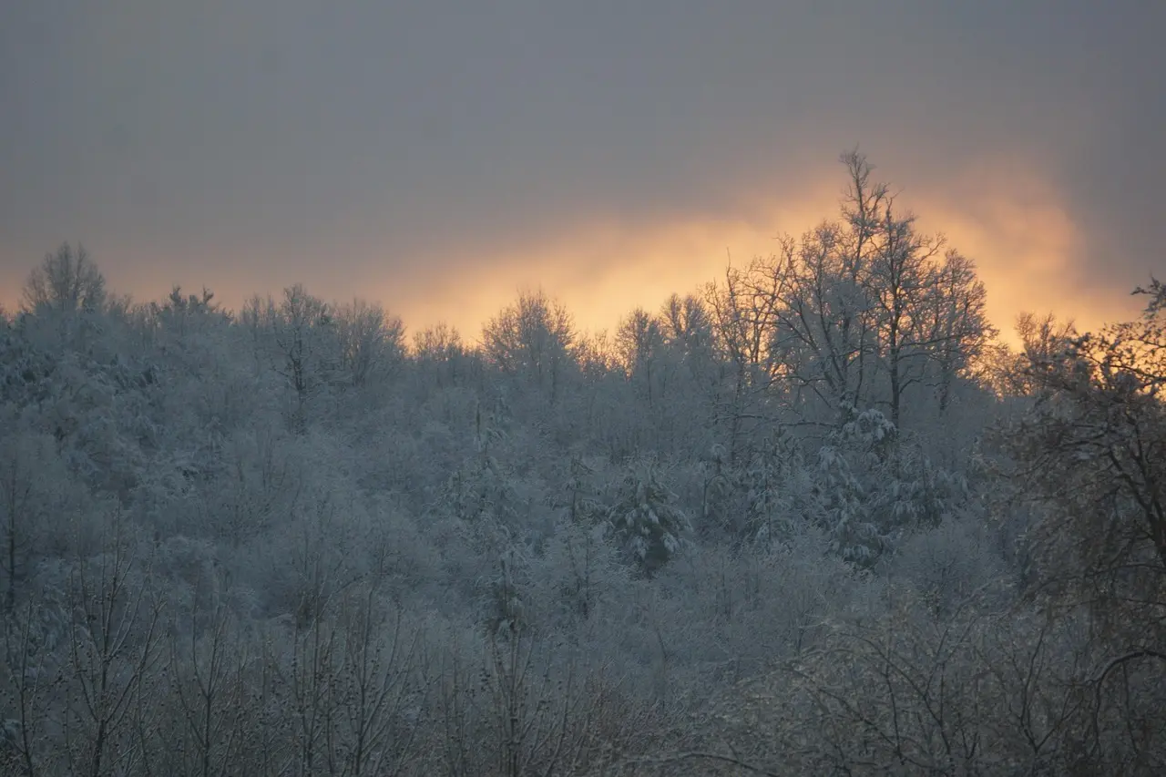 Magien ved nissebreve: Skab juleglæde og forventning i hjemmet